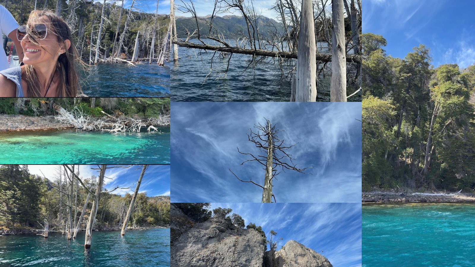 Bosque Sumergido Villa Traful